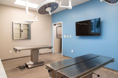 CHVC exam room detail 9372