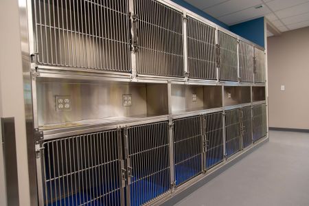 CHVC pet boarding area 9316