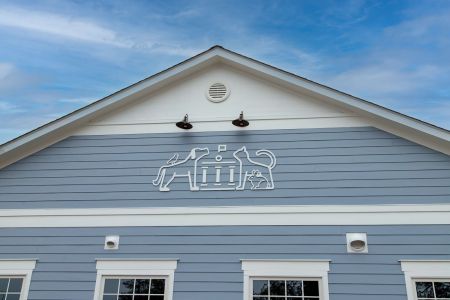 CHVC side dormer with icon 9207